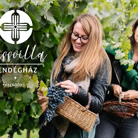 Vass és Pincészet *