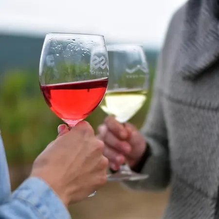 Vass és Pincészet *