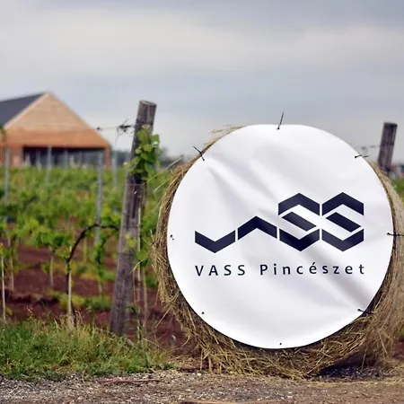 Vass Vendeghaz Es Pinceszet ヴィラ *