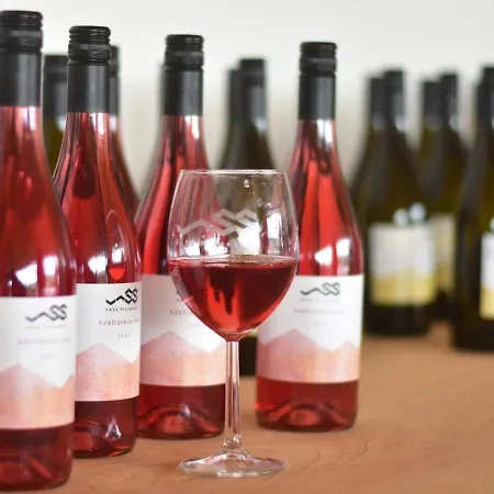 Vass és Pincészet Villa *