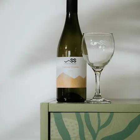 Vass Vendeghaz Es Pinceszet