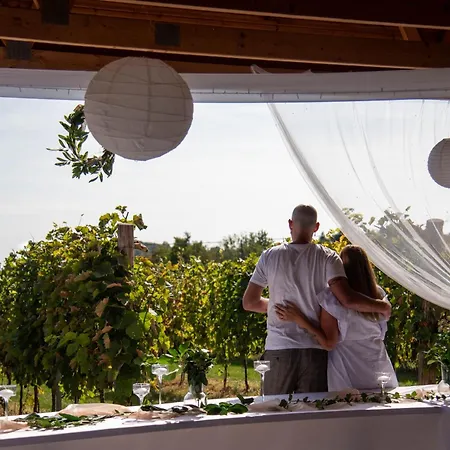 Vass Vendeghaz Es Pinceszet ヴィラ *