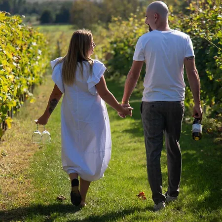 Vass Vendeghaz Es Pinceszet *