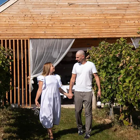 Vass Vendeghaz Es Pinceszet *