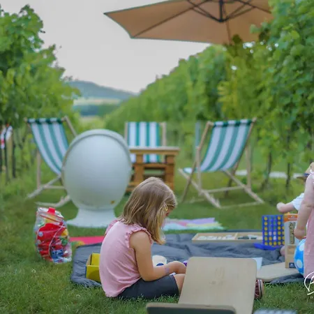 Villa Vass Vendeghaz Es Pinceszet *
