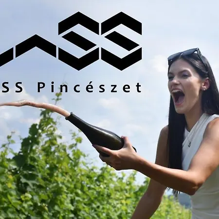 Vass Vendeghaz Es Pinceszet *