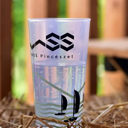 ヴィラ Vass Vendeghaz Es Pinceszet