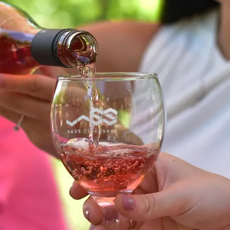 Vass és Pincészet Villa *