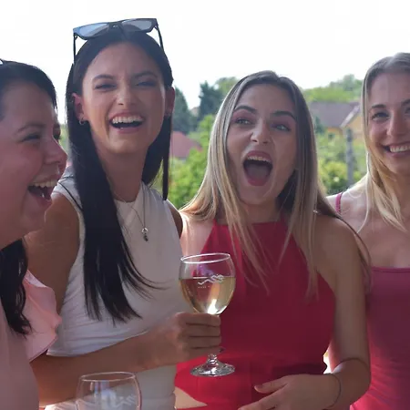 Vass Vendeghaz Es Pinceszet ヴィラ Felsőörs