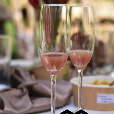 Vass Vendeghaz Es Pinceszet *