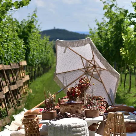 ヴィラ Vass Vendeghaz Es Pinceszet