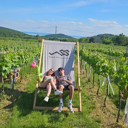 Vass és Pincészet *