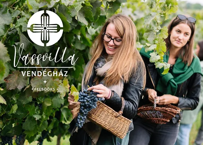 Vass Vendeghaz Es Pinceszet *