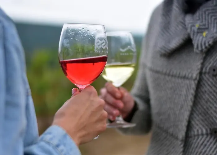 Vass és Pincészet *