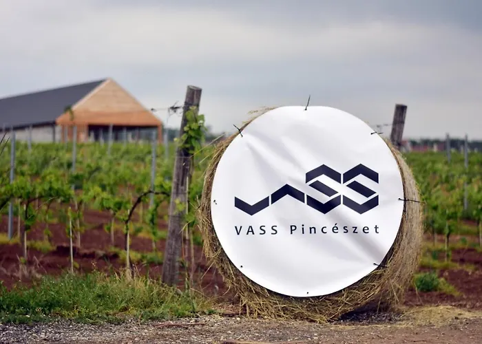 Vass Vendeghaz Es Pinceszet Willa *