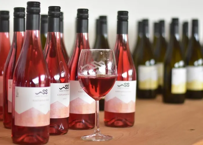 Vass és Pincészet Villa *