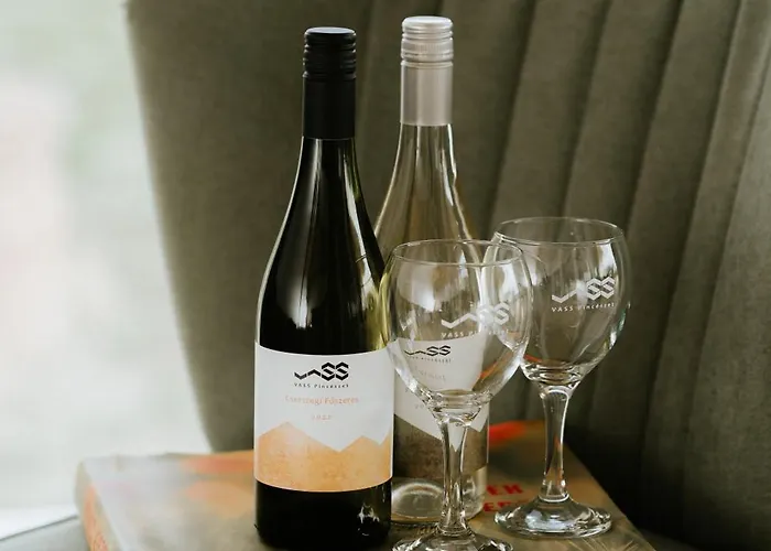 Vass Vendeghaz Es Pinceszet Вилла Felsoors