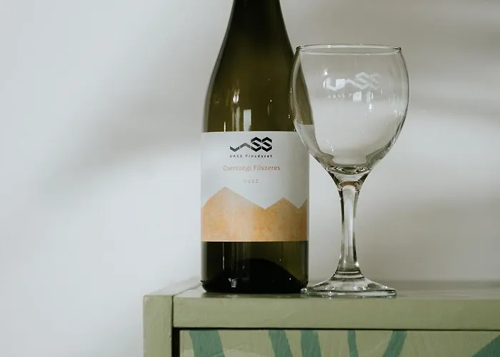 Vass Vendeghaz Es Pinceszet