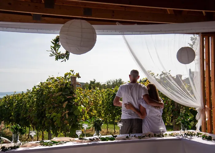 Vass és Pincészet Villa *