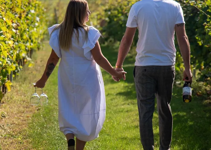 Vass és Pincészet *