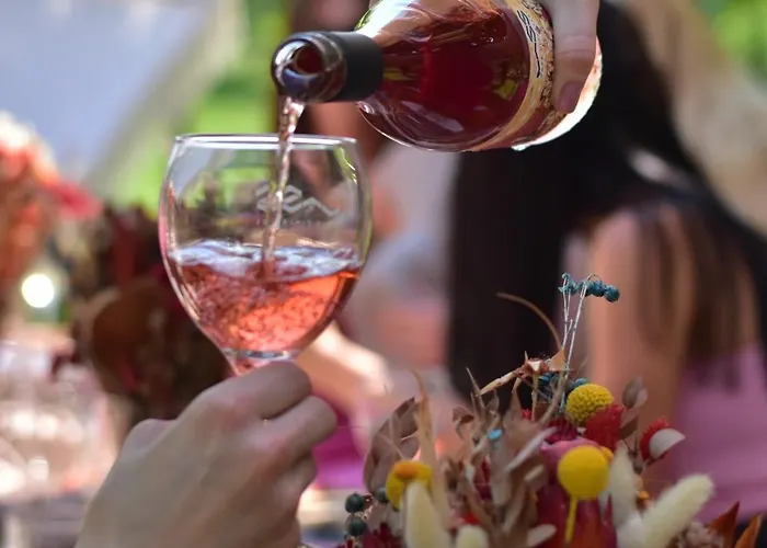 Vass Vendeghaz Es Pinceszet * Felsoors