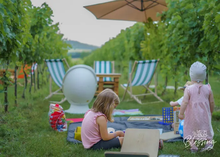 Вилла Vass Vendeghaz Es Pinceszet *