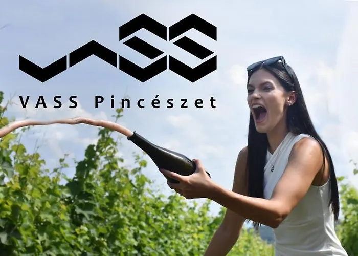 Vass Vendeghaz Es Pinceszet *