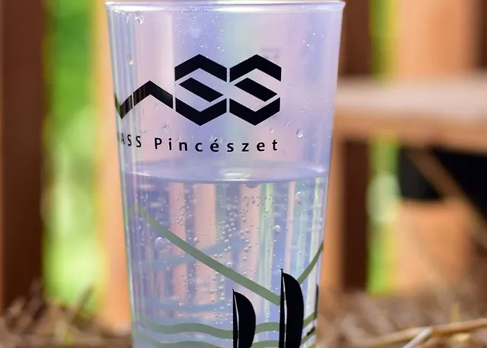 Вилла Vass Vendeghaz Es Pinceszet