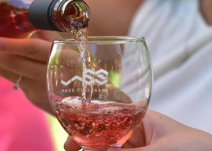 Vass és Pincészet Villa *