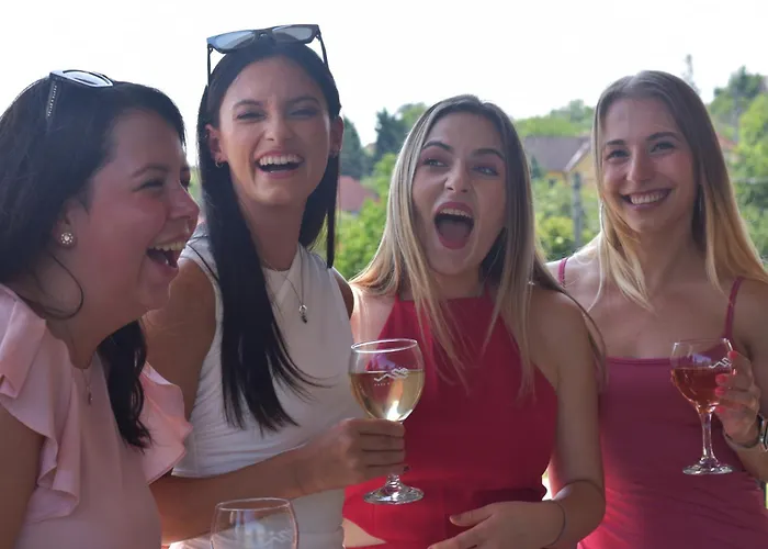 Vass Vendeghaz Es Pinceszet Вилла Felsoors