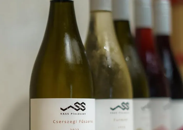 Vass Vendeghaz Es Pinceszet