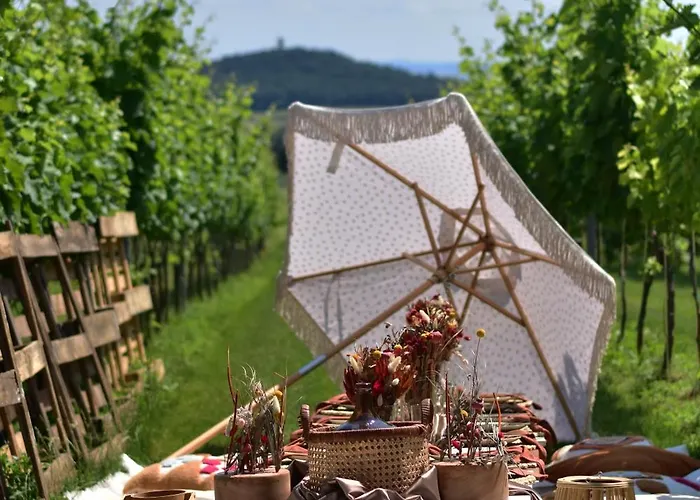 Вилла Vass Vendeghaz Es Pinceszet