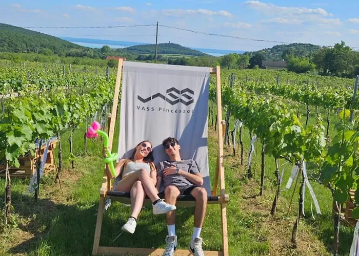 Vass és Pincészet *